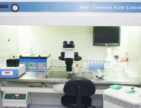 IVF Lab